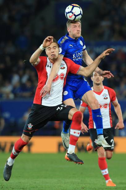 不仅带领芝 不仅带领芝