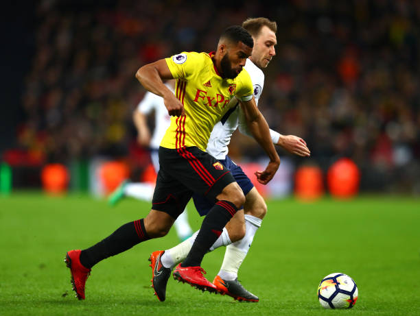 這並不是僅 這並不是僅